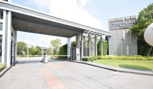 ตกแต่งภายในบ้าน The Plant Exclusique