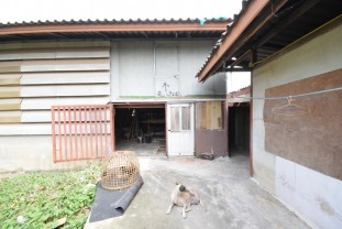 ขายโรงงาน วัชรพล ซอย 4 เนื้อที่ 1 ไร่ 77 ตารางวา 0809559888 มี พื้นที่ว่าง อีก ครึ่งหนึ่ง โรงงาน 11 กค.61 _078